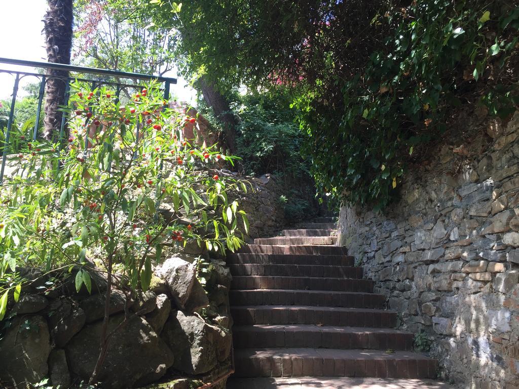La Vignetta Casa Vacanze Alassio